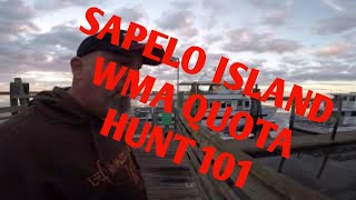 Sapelo Island WMA DeerHog Hunt Tips and Camp Tour [upl. by Adiana]