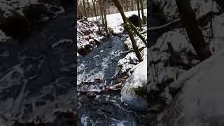 Winter Serenity Unfrozen Water Stream in Umea Sweden exploresweden naturelovers nature [upl. by Orlina]