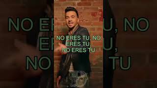 Échame La Culpa  Luis Fonsi Demi Lovato Lyrics shorts [upl. by Hafirahs120]