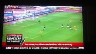 BolognaHellas Verona 14 06102013 Highlights amp Goal Sky [upl. by Dunc]