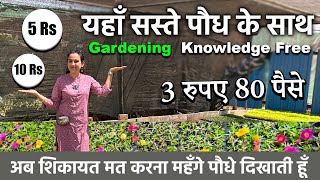 पौधे 5 और 10 रुपए में  Cheapest Plant Nursery  Gurugram ki is nursery mein milenge saste podhe [upl. by Camila]