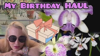 Birthday ORCHID HAUL from Currlin [upl. by Tloh]