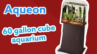 Aqueon 60 gallon cube aquarium [upl. by Anuaek]