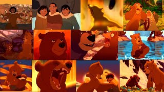 Brother Bear  On My Way 12 Hours Extended [upl. by Nidnal]