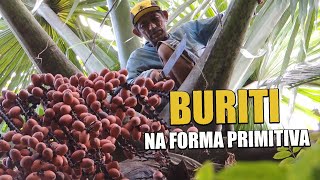 O BURITI NA FORMA PRIMITIVA [upl. by Obidiah784]