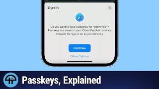 What Are Passkeys [upl. by Yirinec]