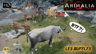 ANIMALIA SURVIVAL GAMEPLAY 4 DANS LA PEAU DUN BUFFLE DAFRIQUE [upl. by Okiam]