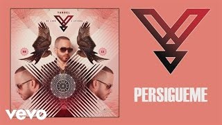 Yandel  Persígueme Audio [upl. by Ahsitruc264]