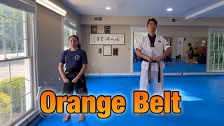 Orange belt curriculum [upl. by Neiman]