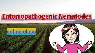 Entomopathogenic NematodeEPN  online class  Nematology series [upl. by Anuala]