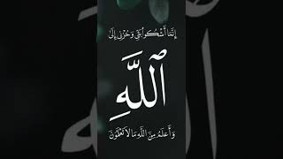 Darood un par slam un par yei kehna islamic allah naat newnaat allahuakbar [upl. by Barron]