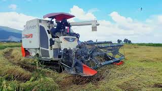 Harvesting Machines  Kubota  Farming in 2024​  Cheang Dy 15 [upl. by Aratihc]