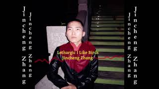 Jincheng Zhang  Lithosphere I Like Birds Official Audio [upl. by Phionna]