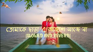 তোমাকে ছাড়া এ আকাশ সাজে নাslowedreverbARIJIT AND ANWESSHAAYodhadevampmimiA2Z LOFI [upl. by Eleon]