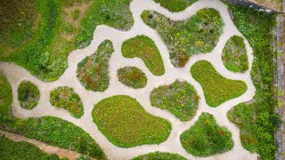 On Remembrance Day France honours WWI dead through gardens of peace • RFI English [upl. by Markman793]