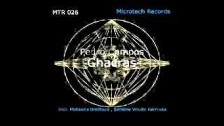 Pedro Campos  Chacras Original Mix  Microtech Records [upl. by Gaylor]