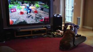 Skateboarding dog plays video game [upl. by Collete]