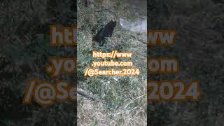 httpswwwyoutubecomSearcher2024 travel followMove to a new channel [upl. by Ilenay]