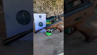 Weihrauch HW70 Black Arrow 10 Meter Sight In airgunsofarizona weihrauchhw70 [upl. by Arikahs]