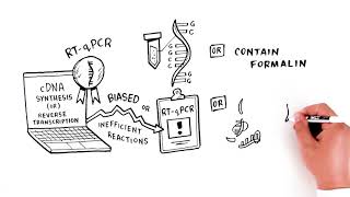 Reliance Select cDNA Synthesis Kit Overcome Challenging Samples [upl. by Maddocks850]