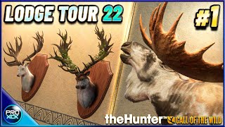 Trophy Lodge Tour 2022  My best trophies so far  theHunter Call of the Wild [upl. by Emerald]