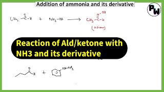 Enamine and imine from ketone  reaction of aldehyde and ketone revision [upl. by Ayerf771]