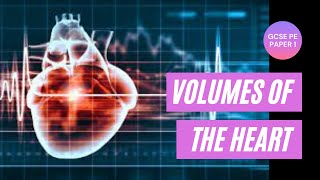 GCSE PE Stroke Volume Cardiac Output and Heart Rate [upl. by Andreana700]