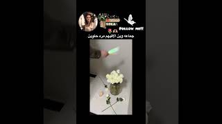 يجننوا🥹 cover lyrics music pop song اكسبلور funny ترند تيكتوك aesthetic [upl. by Aesoh389]