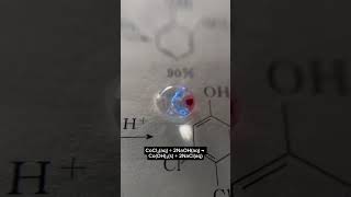 Reaction Between CobaltII chloride and Sodium hydroxide kck chemistry classes naoh [upl. by Navar133]