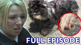 Starved amp Neglected Dogs Get Rescued From Hellish Conditions  The Dog Rescuers  Season 2 Episode 1 [upl. by Meli]