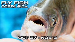 Costa Rica Hosted Trip Tarpon and Machaca October 27  November 3 [upl. by Anolla]