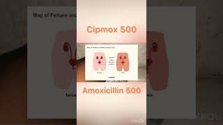 Cipmox 500Amoxycillin Review  shorts [upl. by Nitin]