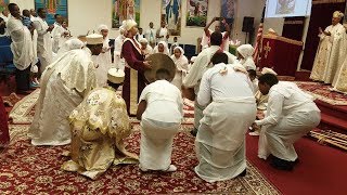 ማዳንህን ተው የሚልህ ማነው  Madanhen Tew Yemileh Manew  Ethiopian Orthodox Tewahedo Mezmur [upl. by Catton581]