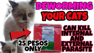 DEWORMING YOUR CATS AND DOG USE IVERMECTIN FOR ONLY 25 PESOSKILL BULATE KA [upl. by Anna-Diana]