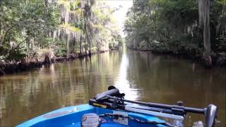 caddo lake the govenment ditch [upl. by Eldrida]