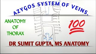 AZYGOS SYSTEM OF VEIN [upl. by Gardener]