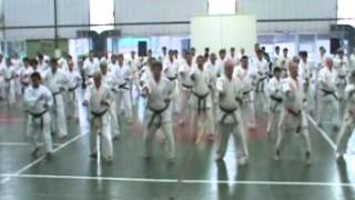 Miyazato KarateDo  Kihon Kata 1 Shodan Okinawa ShorinRyu Shidokan [upl. by Rotce]