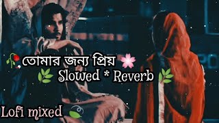 Mind Relax Lofi Bangla Mashup Lofi Songs Feel The Music Bangla sad gaan slowed reverb Sad Song [upl. by Yrhcaz766]