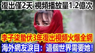 復出僅2天，視頻播放量12億次，李子柒蟄伏3年復出視頻火爆全網，海外網友淚目：這個世界需要她！ [upl. by Ducan]