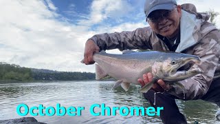 Oregon October Chrome Coho [upl. by Sualkin]