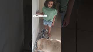 The bond between Coco and Didi ❤️ Petlove kidswithdogs goldenretriever petinfluencers [upl. by Reace]