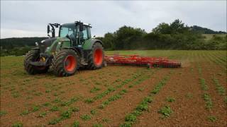 Zitronenmelisse Spriegeln 2016 mit Fendt Vario 718 und Einböck Aerostar Rotation [upl. by Ongun238]