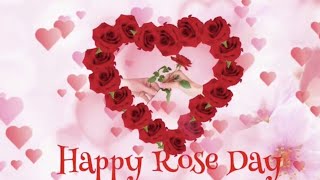 🌹Special Rose Day Status  Happy Rose Day Whatsapp Status Video  Valentines Day  Love ❤️ Heart ❤️ [upl. by Eelsnia]