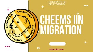 Cheems Inu Migration [upl. by Lehcem]