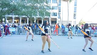 SOUTH CAROLINA STATE MARCHING IN ST PETE MLK 2018 [upl. by Anom]