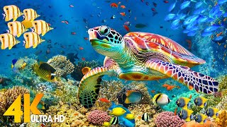 Ocean 4K  Sea Animals for Relaxation Beautiful Coral Reef Fish in Aquarium4K Video Ultra HD 128 [upl. by Corwun]