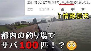 【豊洲ぐるり公園】7月の初夏の東京湾奥に鯖到来！？1日100匹サバが釣れるらしい都内の釣り場で鯖調査をしていたらでか○○が連発！【20200727】 [upl. by Etteraj239]