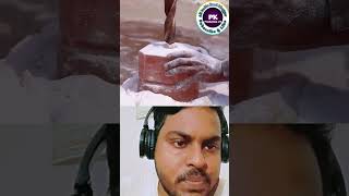 Himalayan Pink Salt How is it Made shorts indianfood [upl. by Nyladnek]