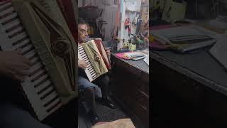 Dark Eyes on Salanti 120 Bass Accordion Demo Accordeon [upl. by Erma850]