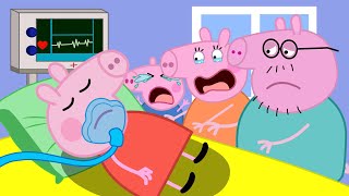 Peppa Pig is Hospitalized Wake Up Please  Peppa Pig Funny Animation [upl. by Yldarb294]